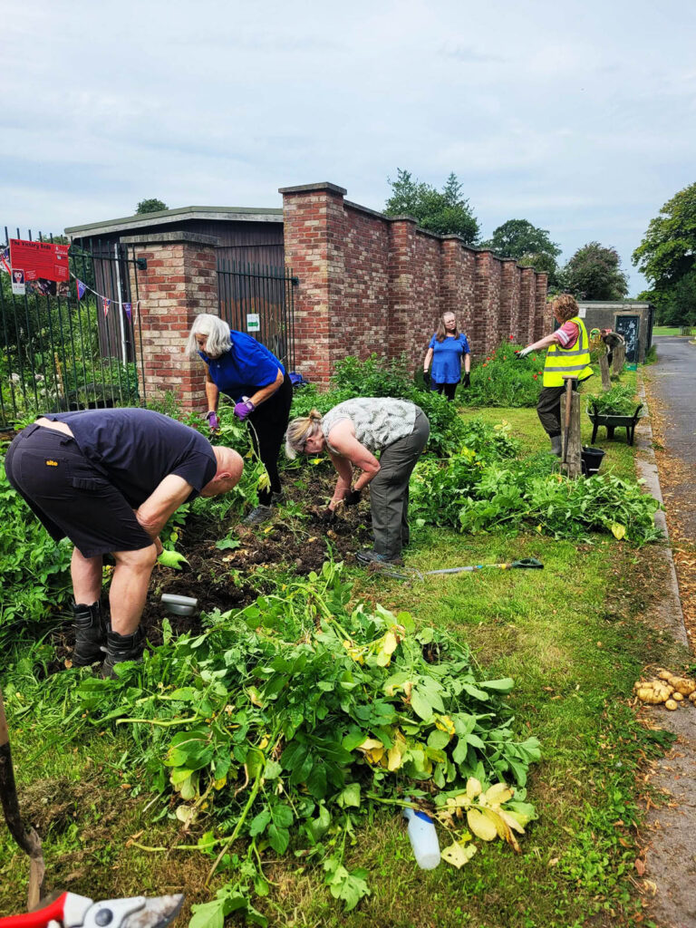 victory-beds-01 Victory Beds