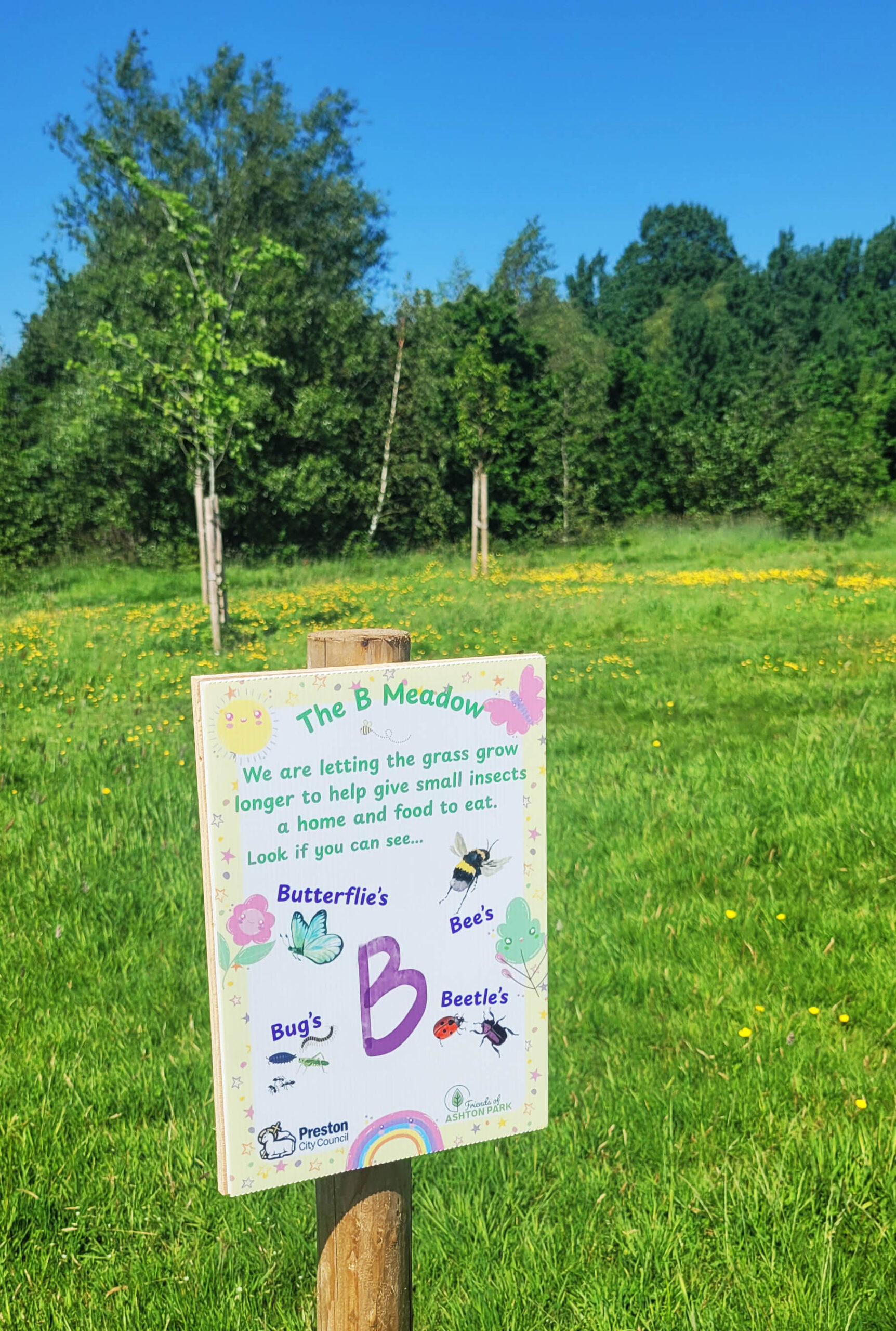 Bee Meadow - Ashton Park Preston